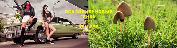 соль ск Арсеньев