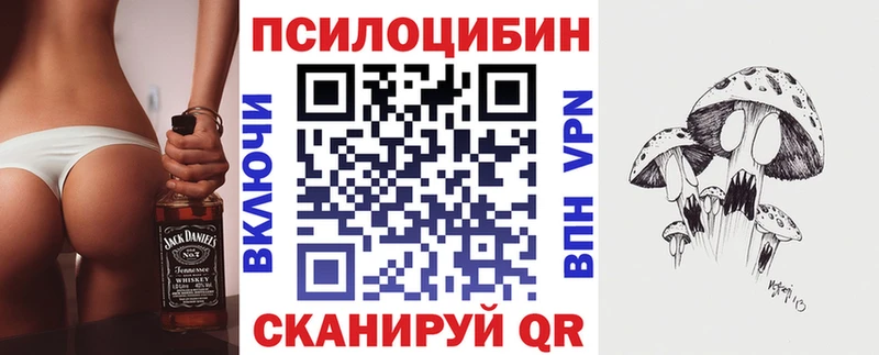 где купить наркоту  Краснослободск  kraken как зайти  Галлюциногенные грибы Psilocybe 
